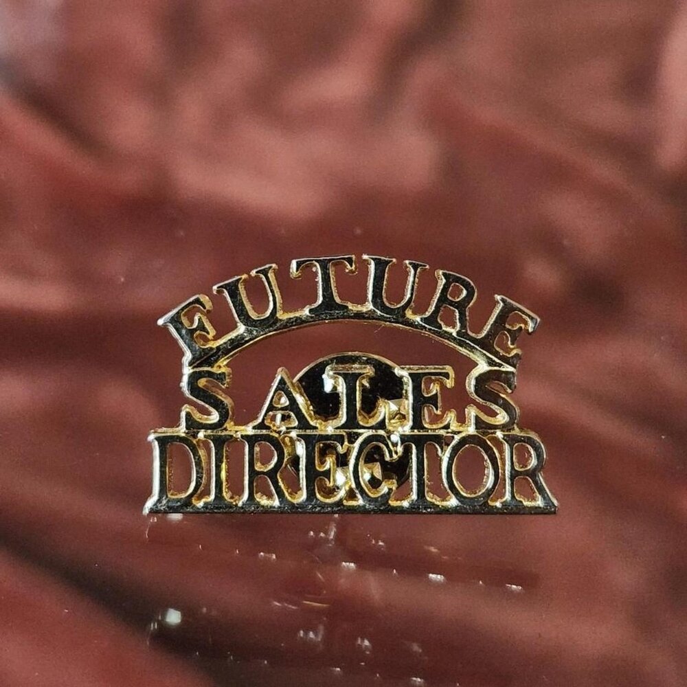 MARY KAY Vintage Future Sales Director Pin.